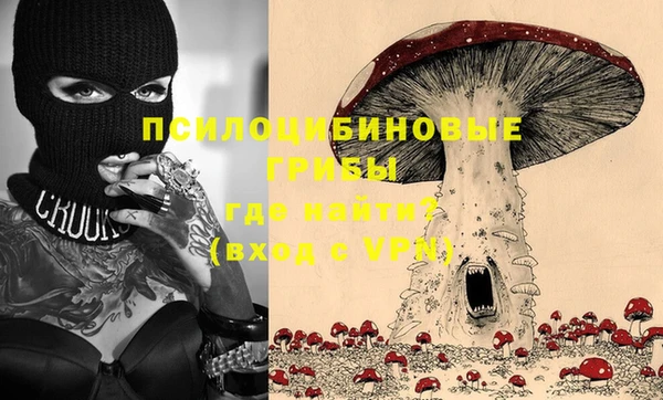 молекула духа Верхний Тагил