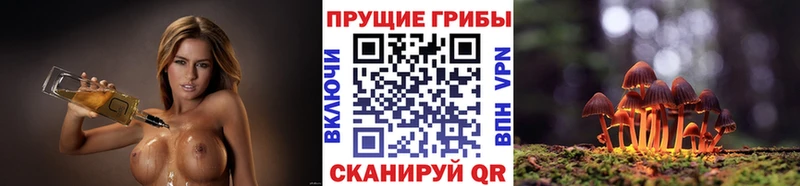 как найти закладки Кизляр Псилоцибиновые грибы мицелий
